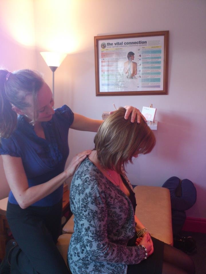 Spine model demonstrating vitalistic chiropractic care